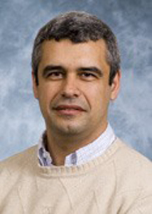 AAPM Committee Tree - Medical Physics Board of Associate Editors (MPBAE)